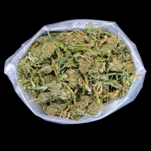 Lemon Octane (Bucked)