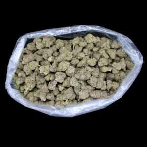 Goji Berry Runtz THCA Flower