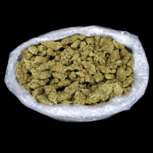 Jager Diesel (Indica)