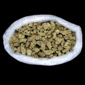 jet fuel Gelato (Hybrid)