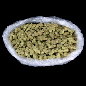 Peanut Butter Breath THCA Flower