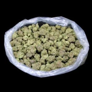 Star Boy THCA Flower